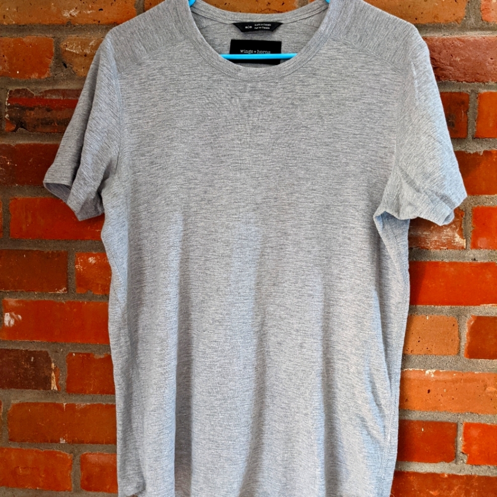 T- shirt Wings +horns